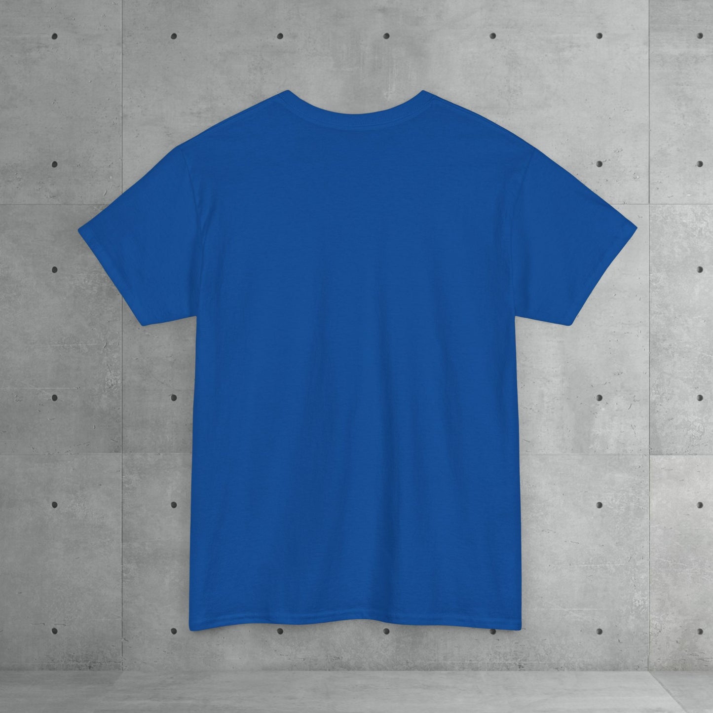 Stix & Stonez | Unisex heavy T-shirt