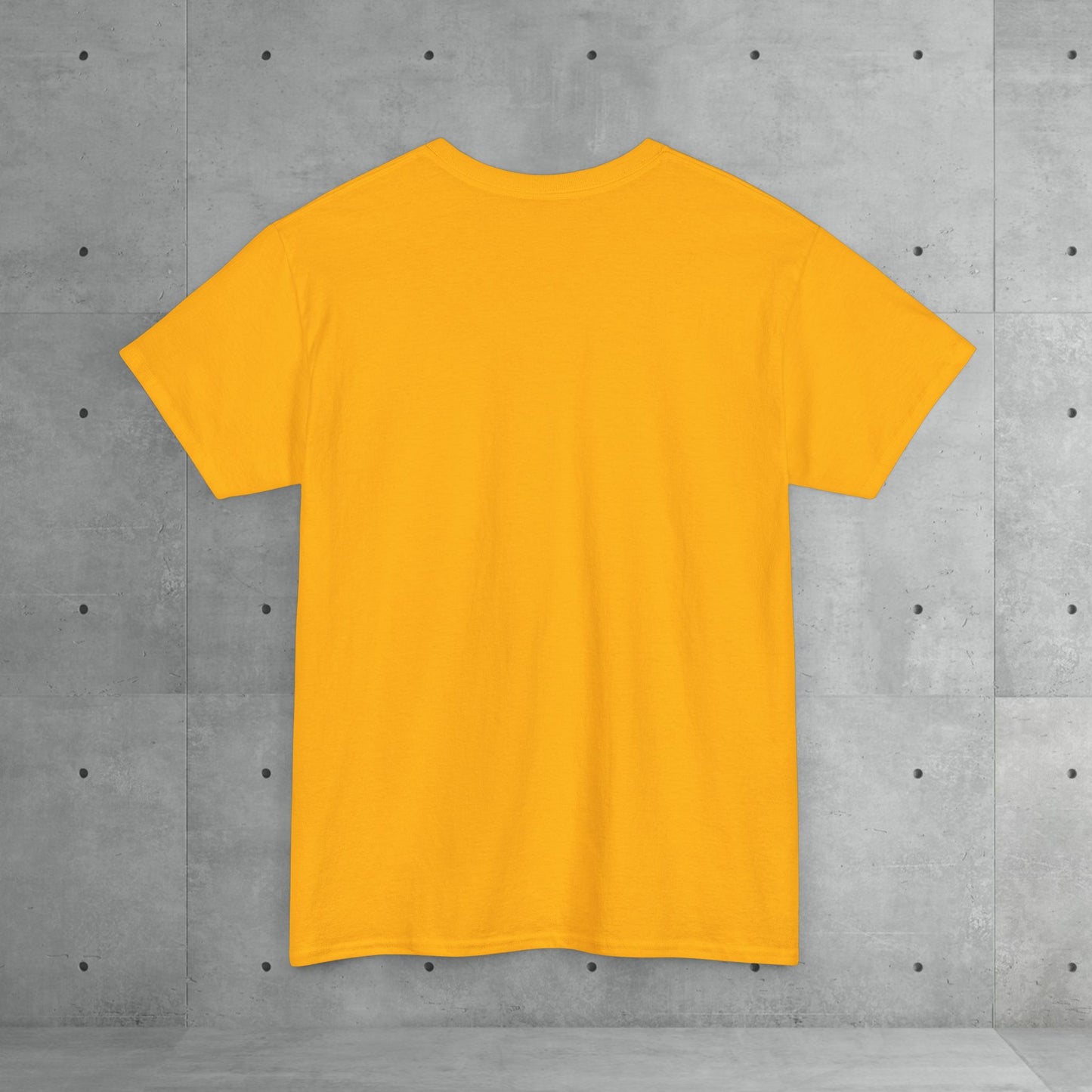 Stix & Stonez | Unisex heavy T-shirt