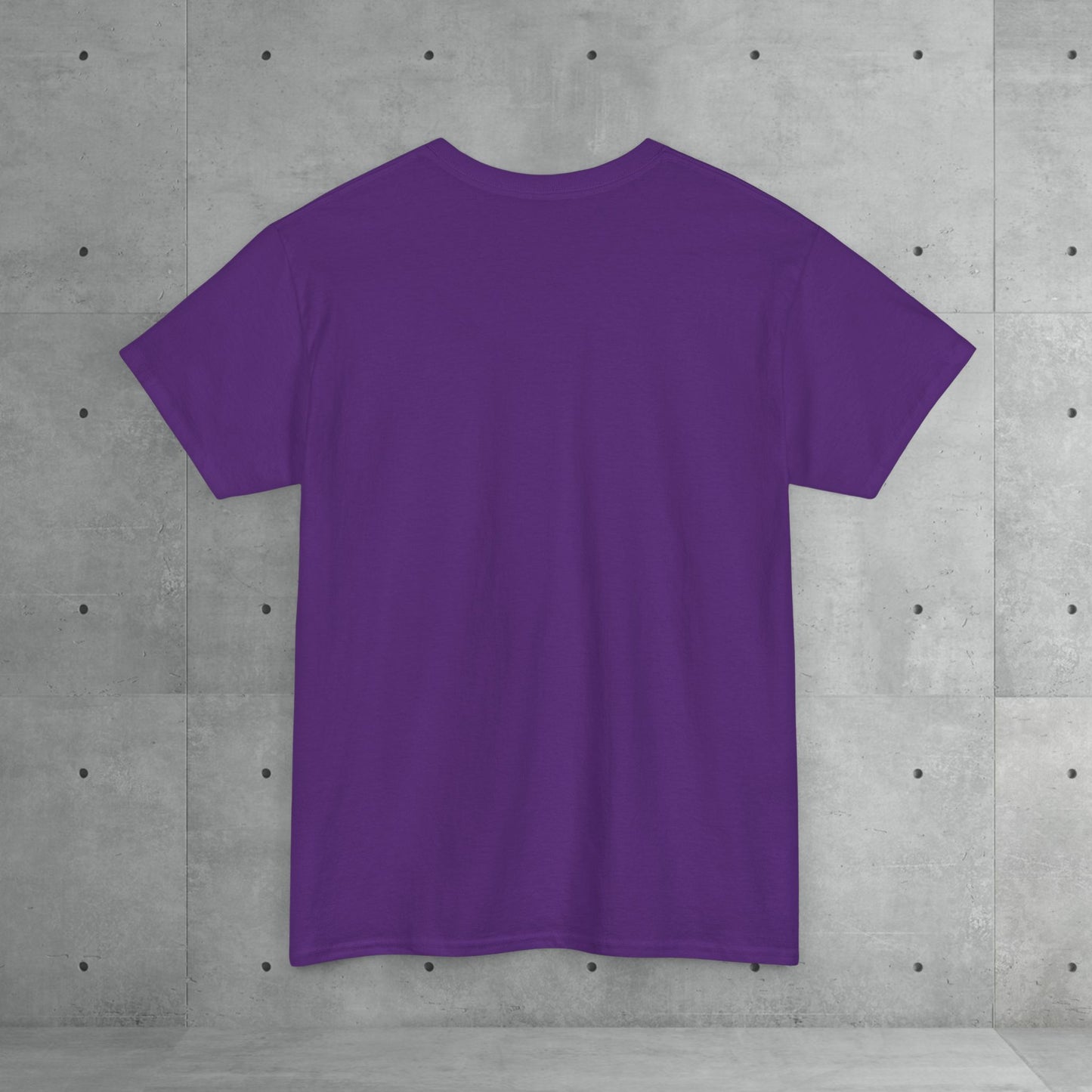 Stix & Stonez | Unisex heavy T-shirt