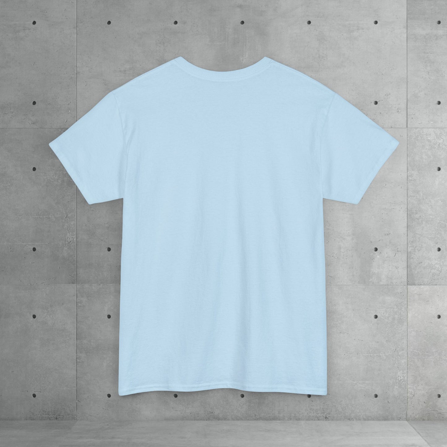 Stix & Stonez | Unisex heavy T-shirt