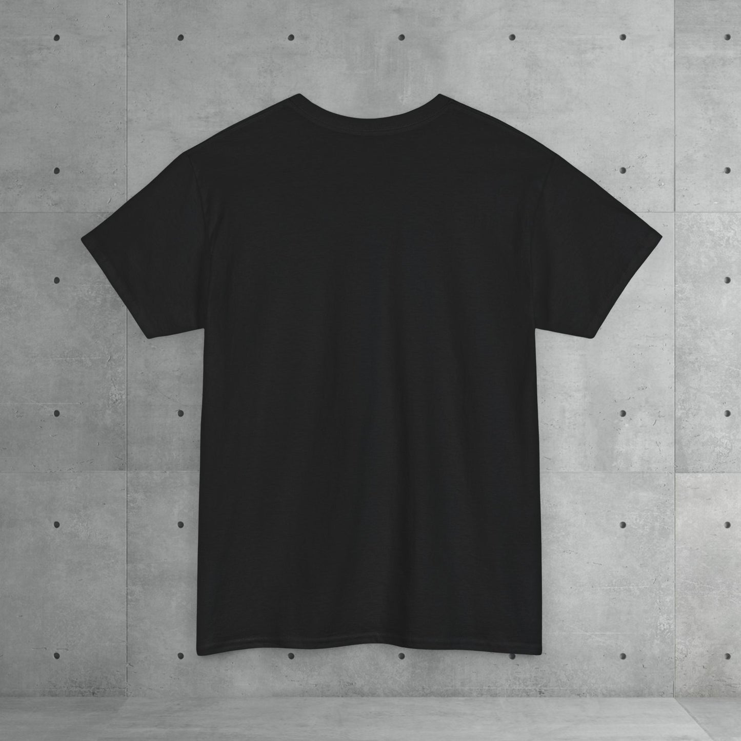 Stix & Stonez | Unisex heavy T-shirt