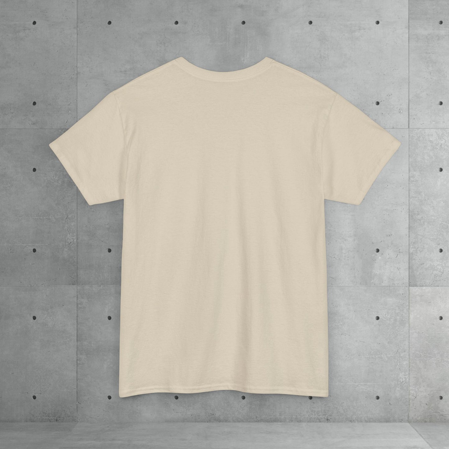 Stix & Stonez | Unisex heavy T-shirt