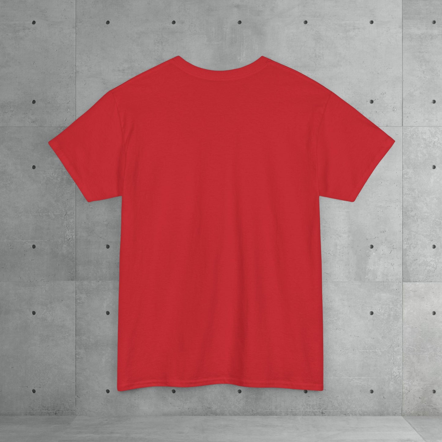 Stix & Stonez | Unisex heavy T-shirt