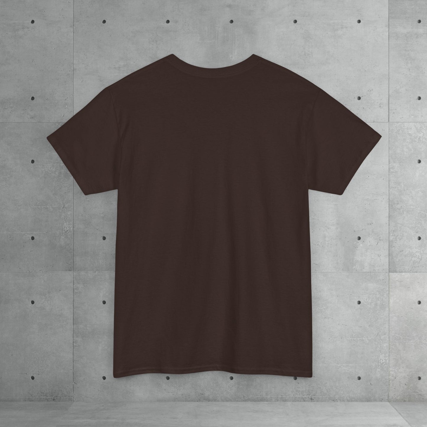 Stix & Stonez | Unisex heavy T-shirt