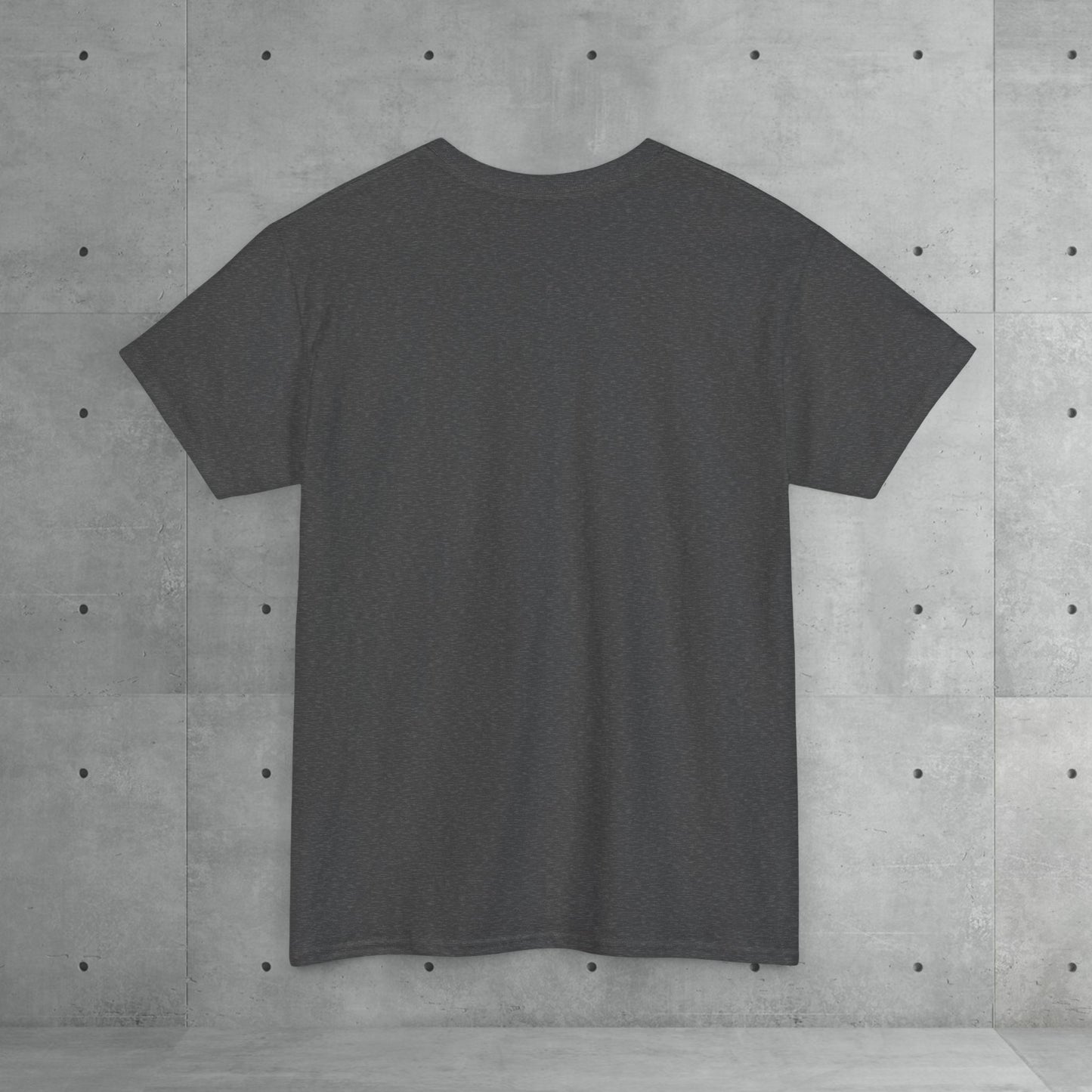 Stix & Stonez | Unisex heavy T-shirt