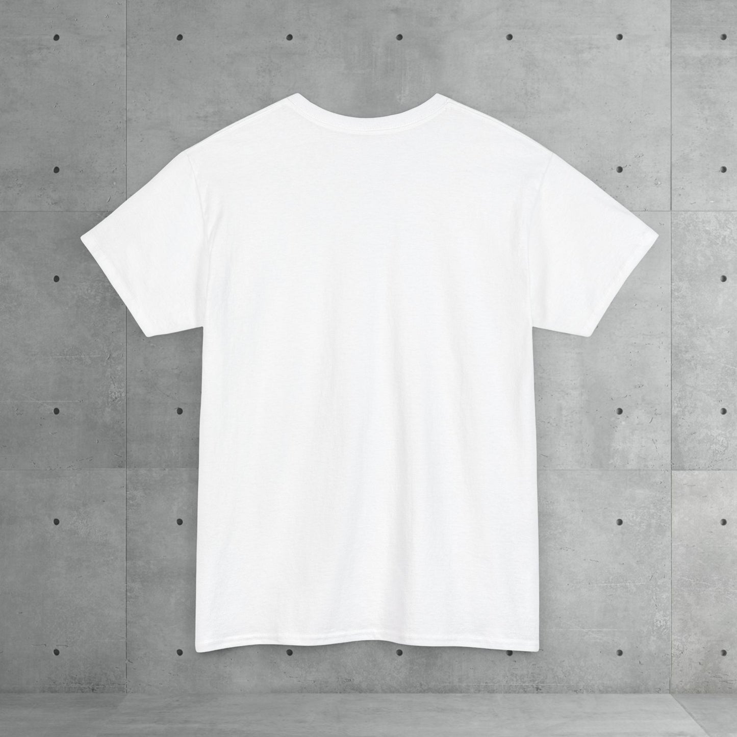 Stix & Stonez | Unisex heavy T-shirt