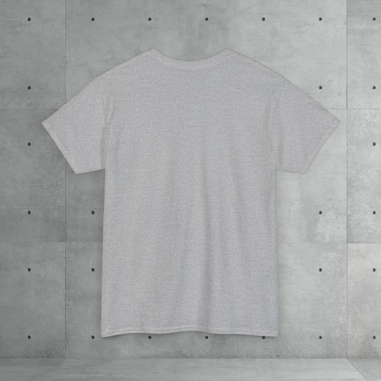 Stix & Stonez | Unisex heavy T-shirt