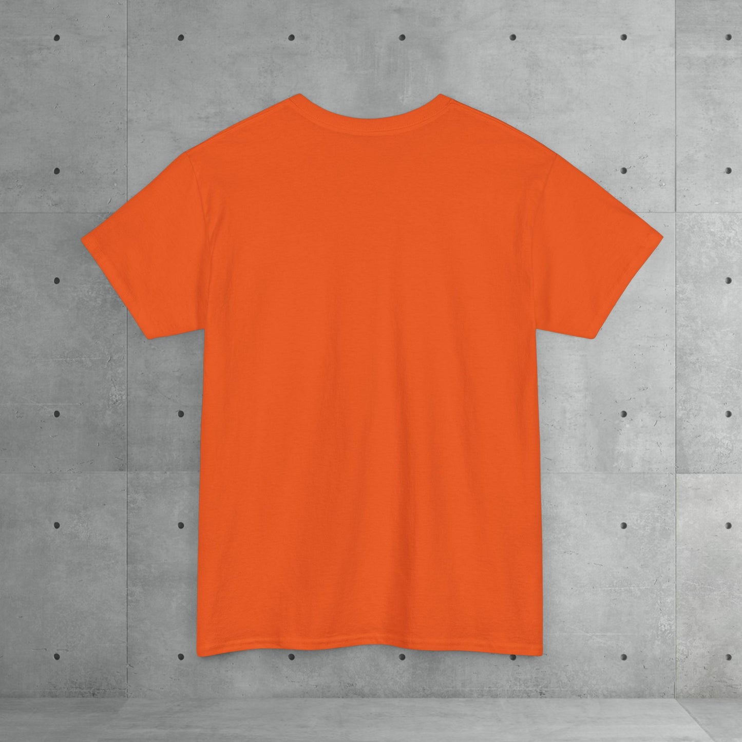 Stix & Stonez | Unisex heavy T-shirt